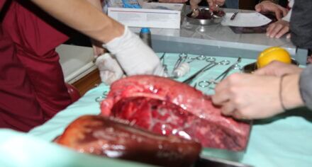 Ярмарка научных кружков в КГМА 2024